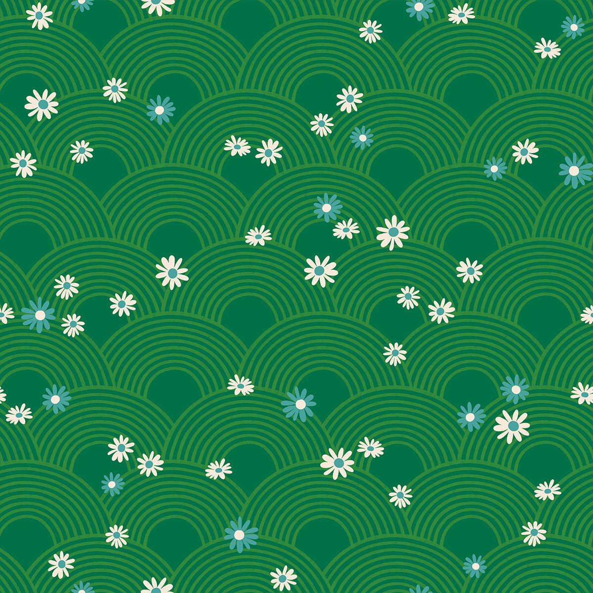 Rise And Shine: Meadow in Evergreen