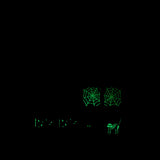 Renaissance Ribbons - Spooky Night Woven Labels (8 ct)