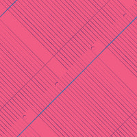 Windham - Pen Pals - College Ruled Shocking Pink Fabric