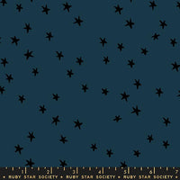 Ruby Star Society - Starry Wideback 108" - Smoke Fabric