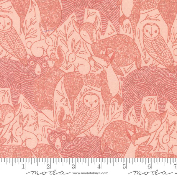 Moda - Woodland Wonder - Woodland Wonder Blush Fabric