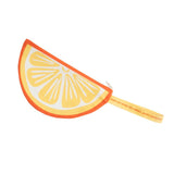 Moda - Cut Sew Create - Lemon Zipper Pouch Project Panel