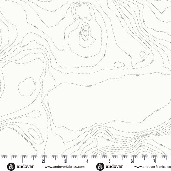Andover - Alison Glass Sun Print Whisper - Topography Boulder Fabric