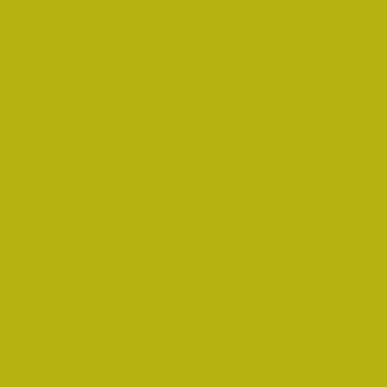 Andover - Century Solids - Margarita Fabric