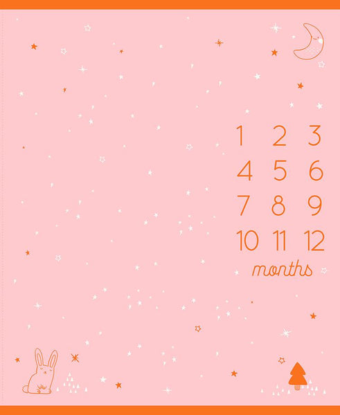 Ruby Star Society - Birthday Cotton Candy Panel