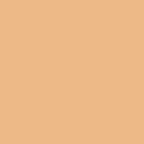Art Gallery Fabrics - Pure Solids - Georgia Peach Fabric
