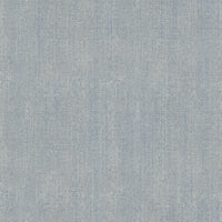 Ruby Star Society - Warp Weft Hue - Cross Weave - Chambray Fabric