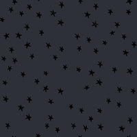 Ruby Star Society - Starry New Colors 2025 - Charcoal Fabric