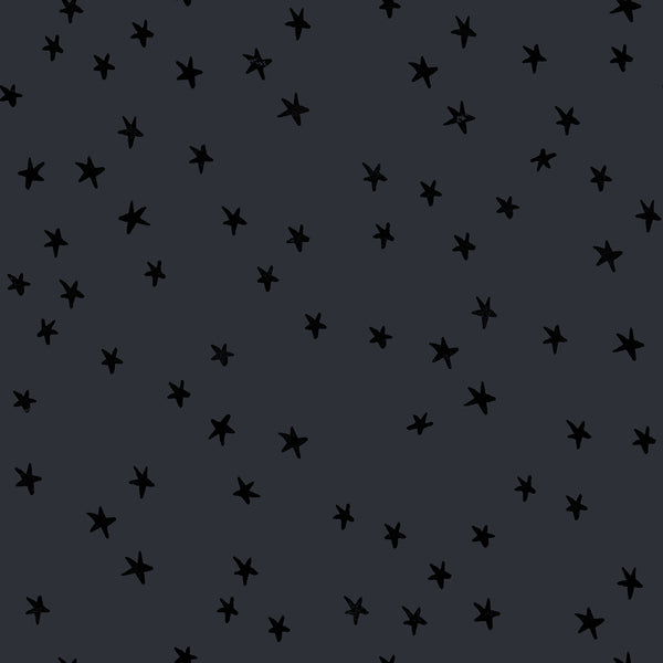 Ruby Star Society - Starry New Colors 2025 - Charcoal Fabric