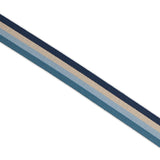 Sallie Tomato - Webbing 1.5" (3 yard pack) - Striped Coastal