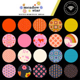 Ruby Star Society -  Meadow Star Fat Quarter Bundle (26 FQs)