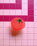Feral Notions - Tomato Pop Up Quilt Ruler Handle