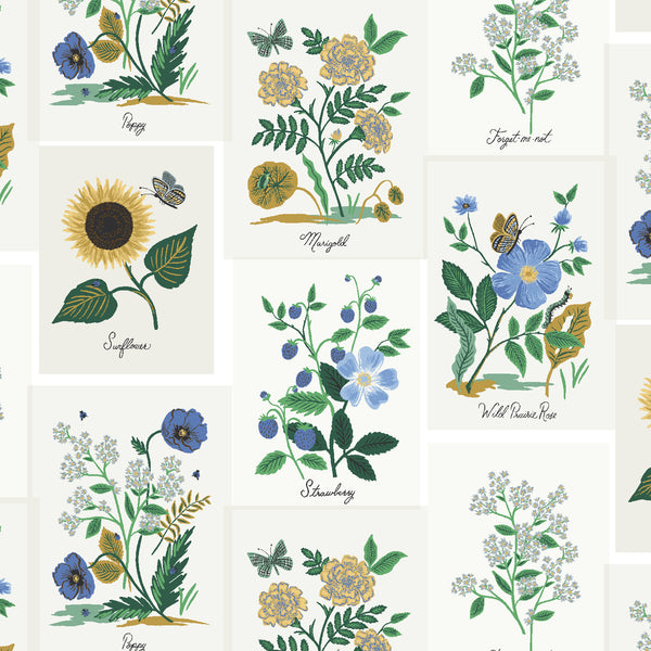 Rifle Paper Co. - Curio - Botanical Prints - Blue Multi Fabric
