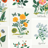 Rifle Paper Co. - Curio - Botanical Prints - Pink Multi Canvas Fabric