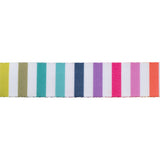 Renaissance Ribbons - Tula Pink Tabby Road Disco Stripe - Rainbow Multi Webbing