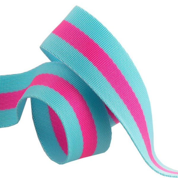 Renaissance Ribbons - Tula Pink Nylon Striped Webbing - Aqua/Hot Pink