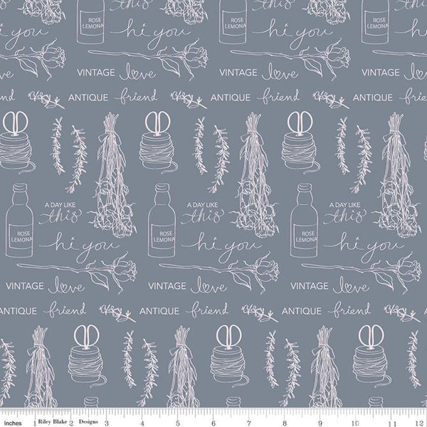 Riley Blake Designs - Idyllic Text - Gray Fabric