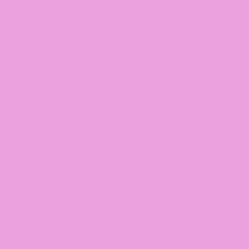FreeSpirit Fabrics - Tula Pink Designer Solids - Sweet Pea Fabric
