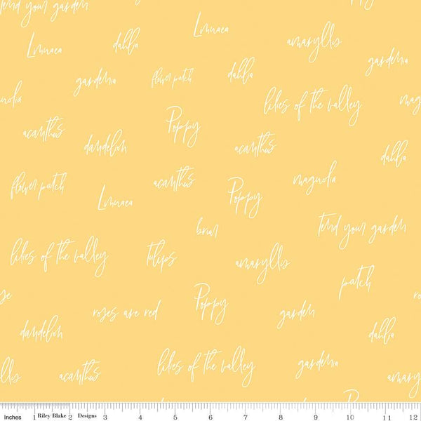 Riley Blake Designs - Bloom and Grow Words - Yellow Fabric