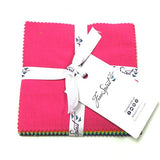 Free Spirit Fabrics - Tula Pink Solids - 5X5 charm pack