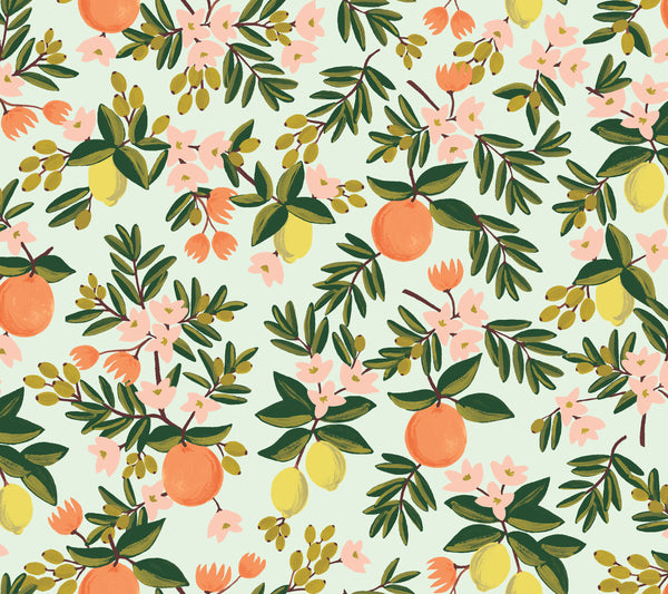 Rifle Paper Co. - Primavera - Citrus Floral - Mint Fabric