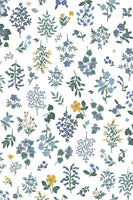 Rifle Paper Co. - Strawberry Fields - Hawthorne - Periwinkle Fabric